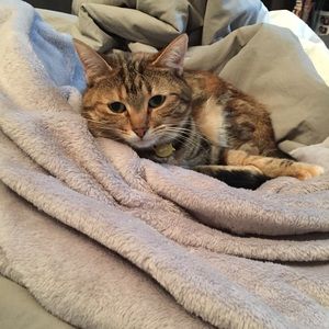 Meet your Posher, Jane